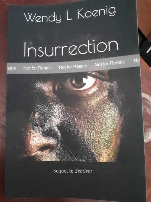 12348605_10156399348890160_46812661_n